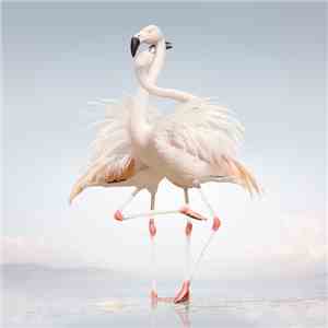 Rustie - Green Language