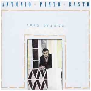 António Pinto Basto - Rosa Branca