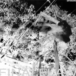 Inanition  - Final Flaw