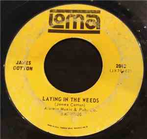 James Cotton - Complete This Order / Laying In The Weeds