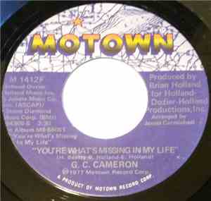 G.C. Cameron - You're What's Missing In My Life