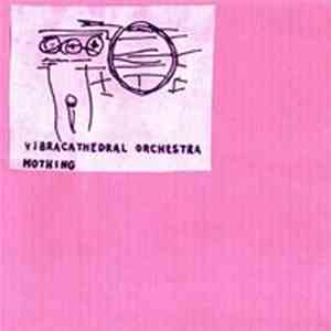 Vibracathedral Orchestra - Mothing