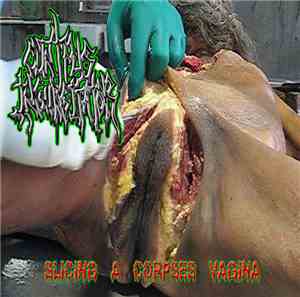 Cunt Pus Ingurgitator - Slicing A Corpses Vagina