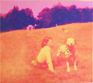 Eels - Blinking Lights And Other Revelations