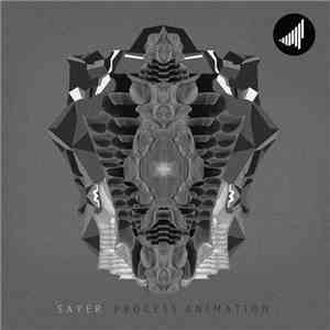 Sayer  - Process Animation