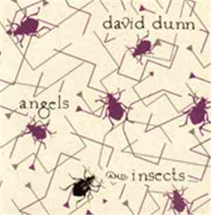David Dunn - Angels And Insects