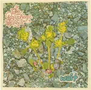 The Polyphonic Spree - Wait