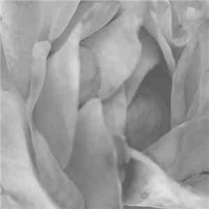 Cio D'or - Yocta To Yotta Ep