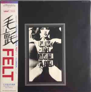 Felt - The Splendour Of Fear