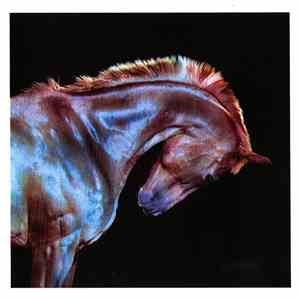 Fenech-Soler - Rituals