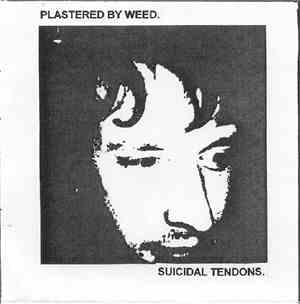 Suicidal Tendons - Plastered By Weed