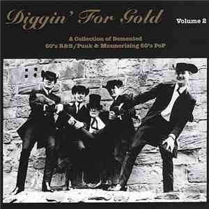 Various - Diggin' For Gold Vol.2
