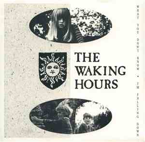 The Waking Hours - What You Don't Know / I'm Falling Down