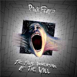 Pink Floyd - The Final Immersion of the Wall