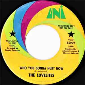 The Lovelites - Who You Gonna Hurt Now