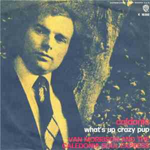 Van Morrison And The Caledonia Soul Express - Caldonia