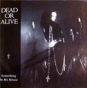 Dead Or Alive - Something In My House