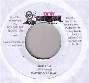 Wayne Marshall - Nah Fall