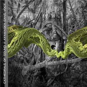 Cathedrals Of Sound - Ayawaska Sans Voce