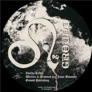 Jamie Bissmire - Twelve Tribes