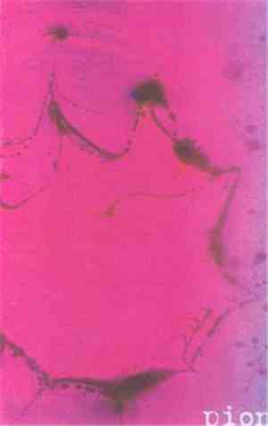 Pion  - Sulle