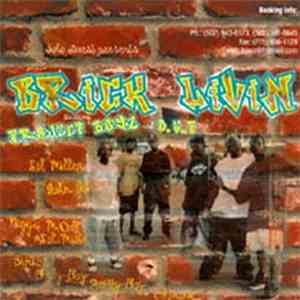 Project Boyz  And D.S.P.  - Brick Livin