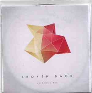 Broken Back - Halcyon Birds