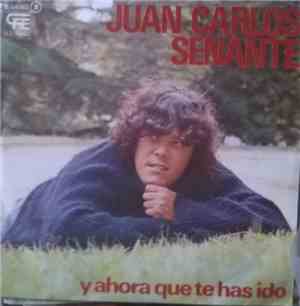 Juan Carlos Senante - Y Ahora Que Te Has Ido