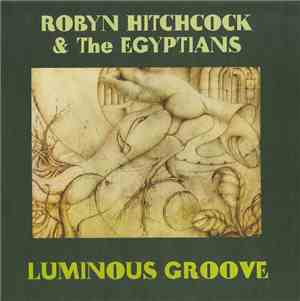 Robyn Hitchcock & The Egyptians - Luminous Groove
