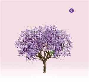 Eels - Tomorrow Morning