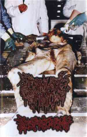 Carnivore Mind / Rectal Cumshot - Carnivore Mind / Rectal Cumshot