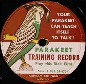 No Artist - Parakeet Training Record