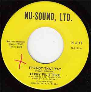 Terry Pilittere - It's Not That Way