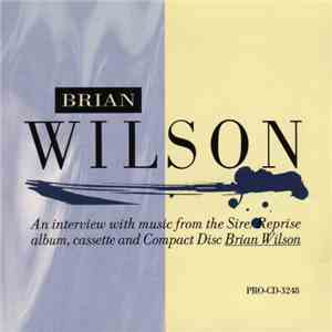 Brian Wilson - Words And Music