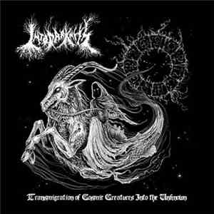 Into Darkness  - Transmigration Of Cosmic Creatures Into The Unknown