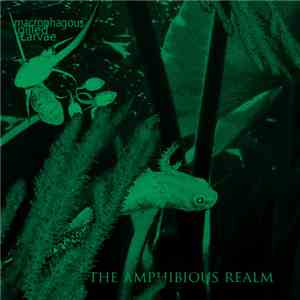 Macrophagous Gilled Larvae - The Amphibious Realm