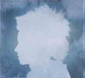 Trent Reznor / Atticus Ross - The Girl With The Dragon Tattoo