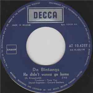 De Bintangs - He Didn't Wanna Go Home / The Dying Of Mr. Fernandez