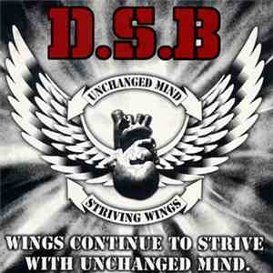 D.S.B - Wings Continue To Strive With Unchanged Mind