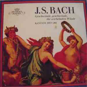 J.S. Bach - Geschwinde, Geschwinde, Ihr Wirbelnden Winde -  Kantate, BWV 20 ...