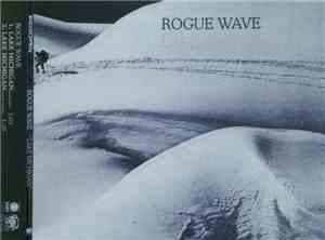 Rogue Wave - Lake Michigan