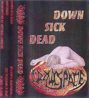 Crawlspace  - Down,Sick,Dead