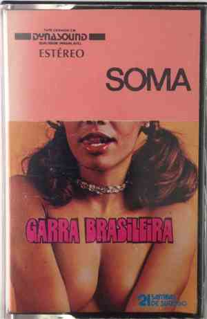 Garra Brasileira - 21 Sambas De Sucesso