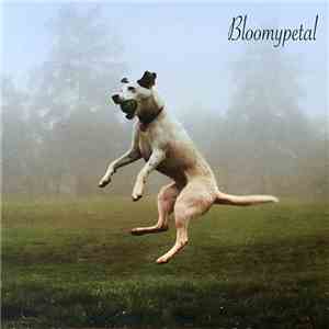 Bloomypetal - ​Irish Jiggling / 1983 Squire​