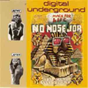 Digital Underground - No Nose Job
