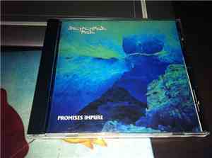 Demented Ted - Promises Impure