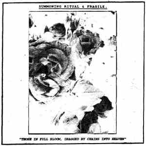 Summoning Ritual & Fragile. - 
