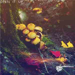 Various - Open It Up
