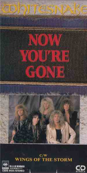 Whitesnake - Now You're Gone