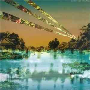 Painted Palms - Canopy